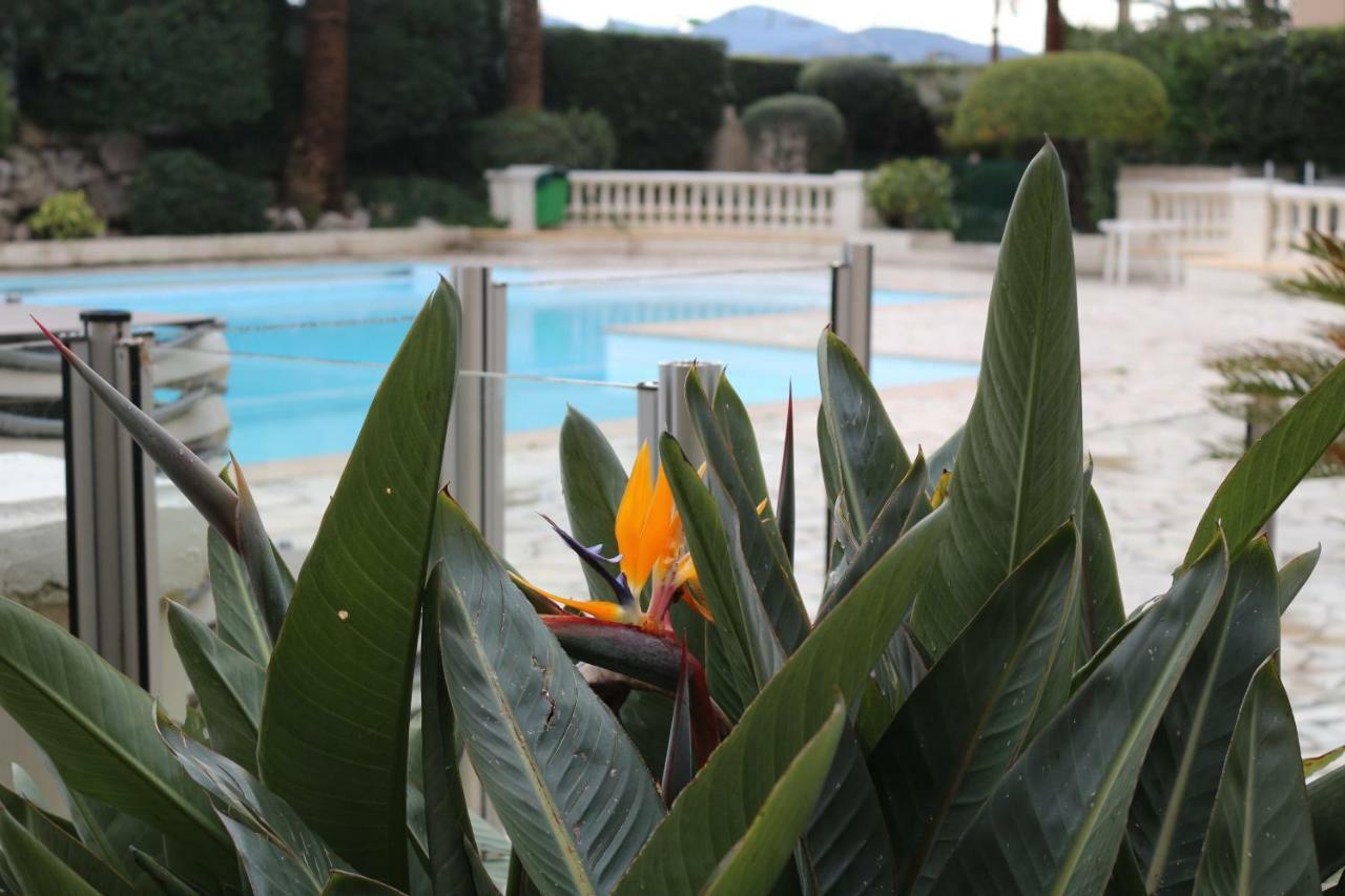 Appartement Palm D'Azur 戛纳 外观 照片